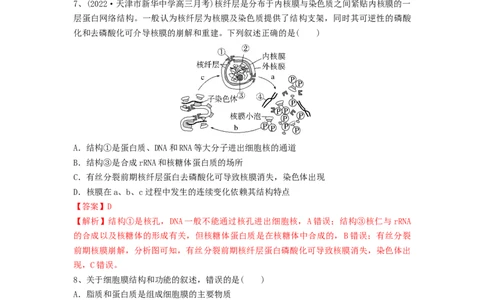 专题04细胞膜和细胞核（精练）（解析版）_2024年新高考资料_1.2024一轮复习_备战2024年高考生物一轮复习串讲精练（新高考专用）