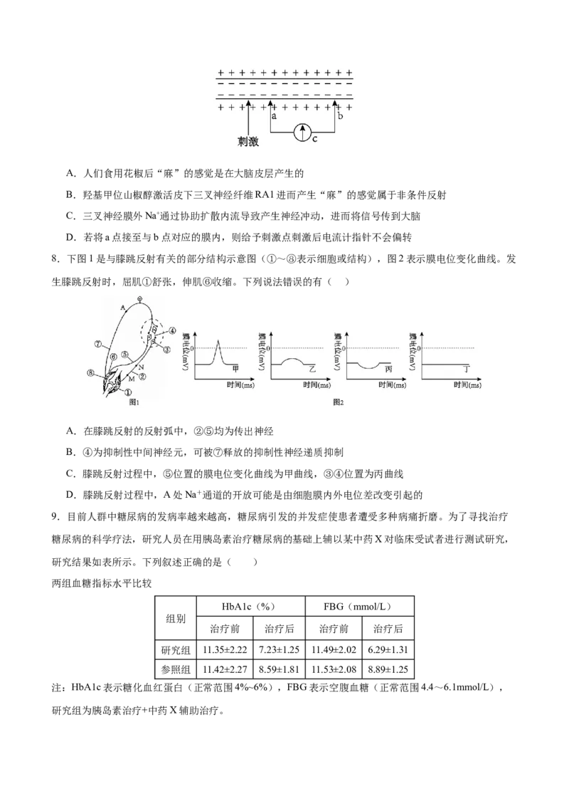 押新高考卷稳态与调节（原卷版）-备战2024年高考生物临考题号押题（新高考通用）_2024年新高考资料_5.2024三轮冲刺_备战2024年高考生物临考题号押题（新高考通用）322745222