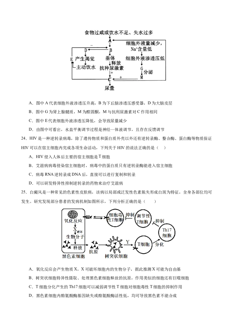 押新高考卷稳态与调节（原卷版）-备战2024年高考生物临考题号押题（新高考通用）_2024年新高考资料_5.2024三轮冲刺_备战2024年高考生物临考题号押题（新高考通用）322745222