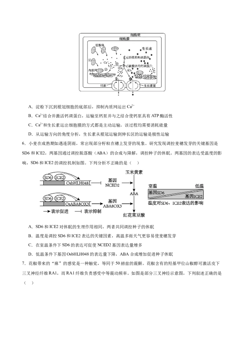 押新高考卷稳态与调节（原卷版）-备战2024年高考生物临考题号押题（新高考通用）_2024年新高考资料_5.2024三轮冲刺_备战2024年高考生物临考题号押题（新高考通用）322745222