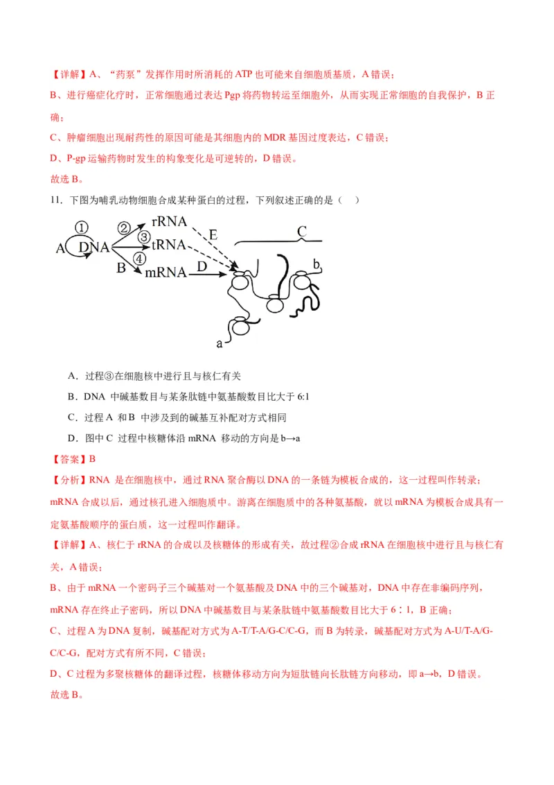 专题22基因的表达、基因与性状的关系（解析版)_2024年新高考资料_3.2024专项复习_备战2024年高考生物一轮复习重难点专项突破