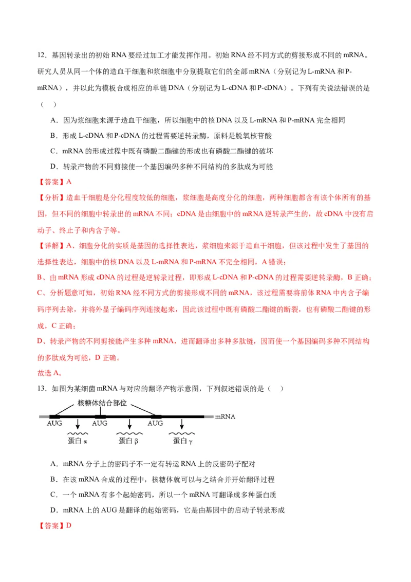专题22基因的表达、基因与性状的关系（解析版)_2024年新高考资料_3.2024专项复习_备战2024年高考生物一轮复习重难点专项突破