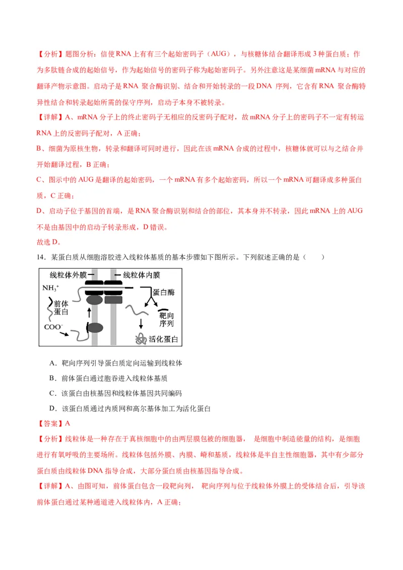 专题22基因的表达、基因与性状的关系（解析版)_2024年新高考资料_3.2024专项复习_备战2024年高考生物一轮复习重难点专项突破