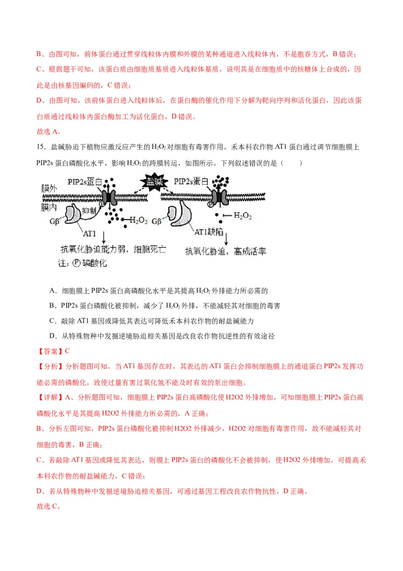 专题22基因的表达、基因与性状的关系（解析版)_2024年新高考资料_3.2024专项复习_备战2024年高考生物一轮复习重难点专项突破