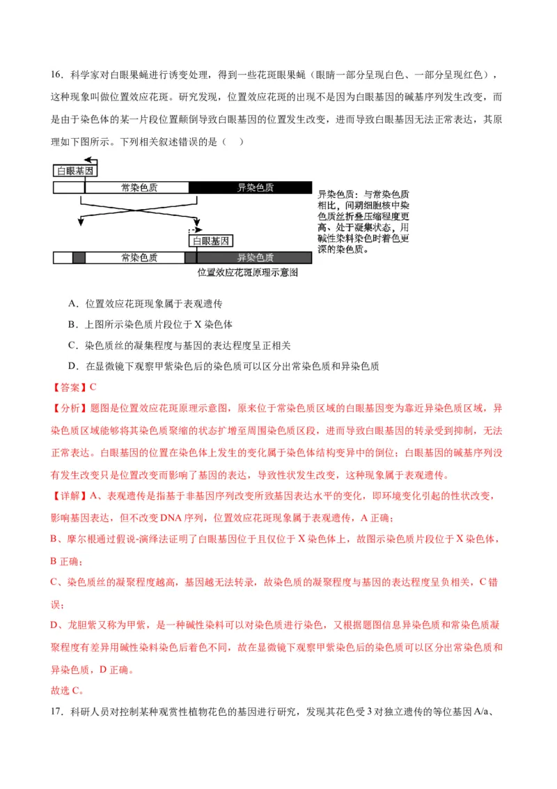 专题22基因的表达、基因与性状的关系（解析版)_2024年新高考资料_3.2024专项复习_备战2024年高考生物一轮复习重难点专项突破