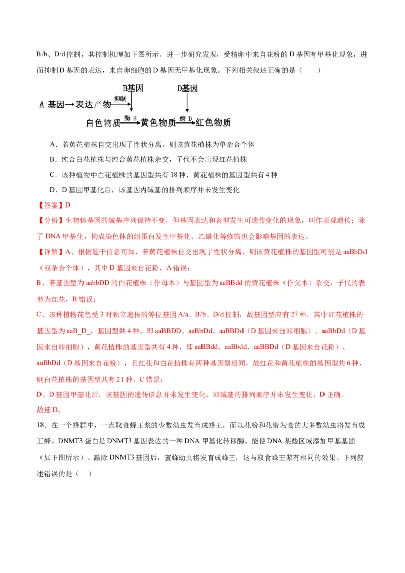 专题22基因的表达、基因与性状的关系（解析版)_2024年新高考资料_3.2024专项复习_备战2024年高考生物一轮复习重难点专项突破