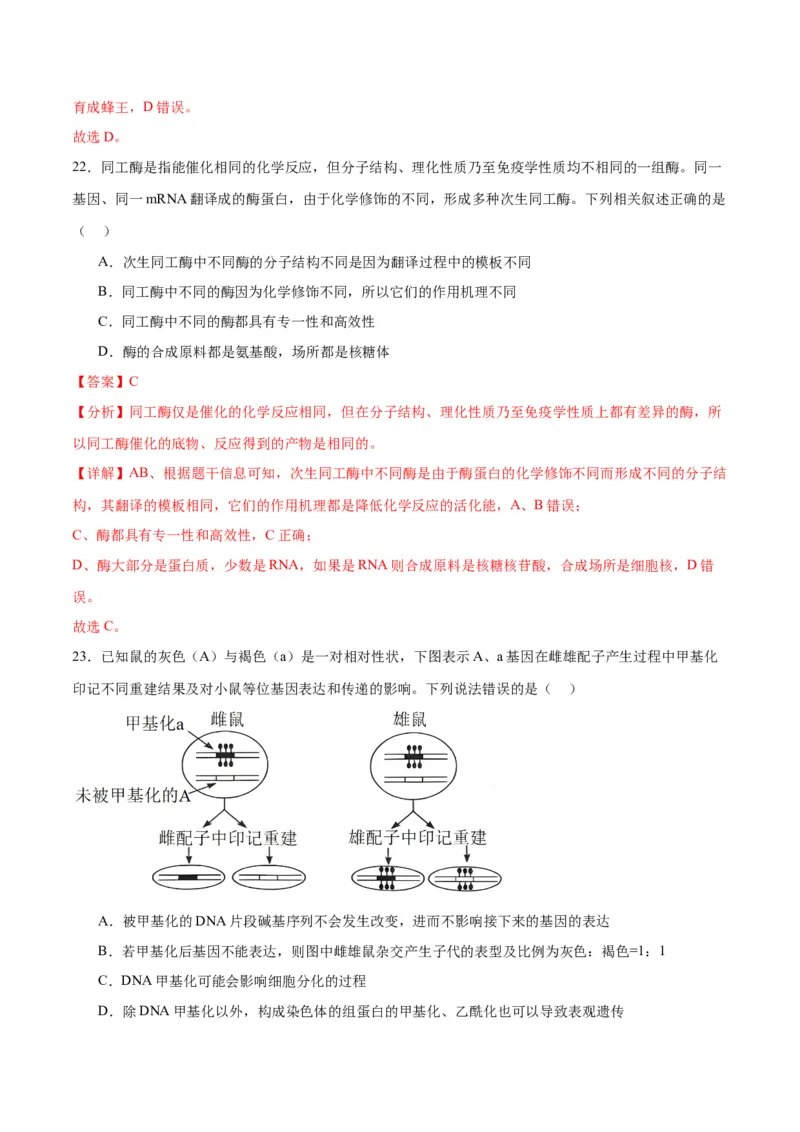 专题22基因的表达、基因与性状的关系（解析版)_2024年新高考资料_3.2024专项复习_备战2024年高考生物一轮复习重难点专项突破