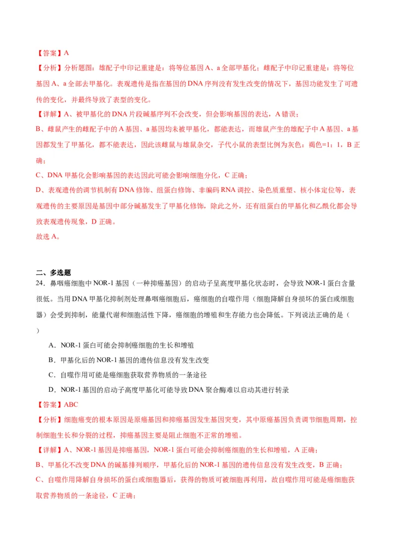 专题22基因的表达、基因与性状的关系（解析版)_2024年新高考资料_3.2024专项复习_备战2024年高考生物一轮复习重难点专项突破