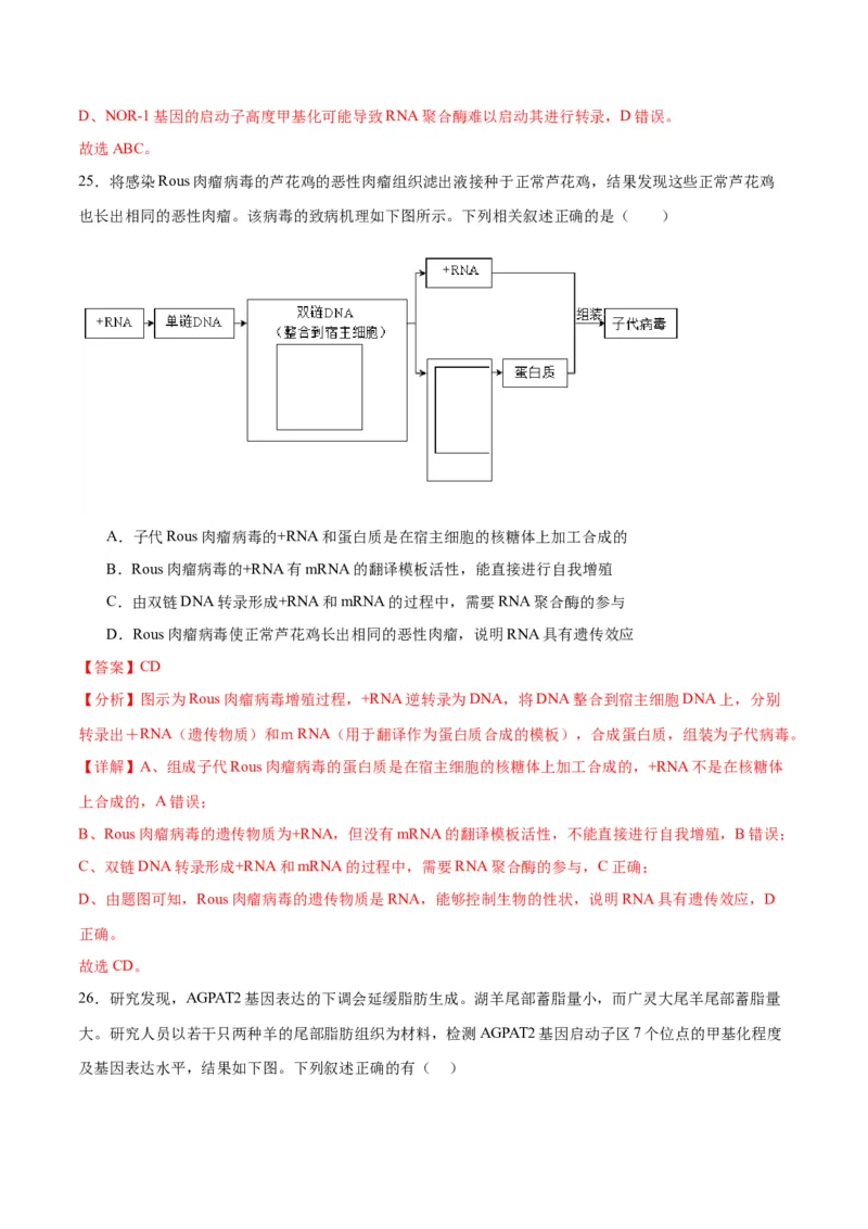 专题22基因的表达、基因与性状的关系（解析版)_2024年新高考资料_3.2024专项复习_备战2024年高考生物一轮复习重难点专项突破