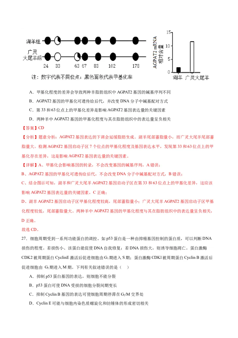 专题22基因的表达、基因与性状的关系（解析版)_2024年新高考资料_3.2024专项复习_备战2024年高考生物一轮复习重难点专项突破