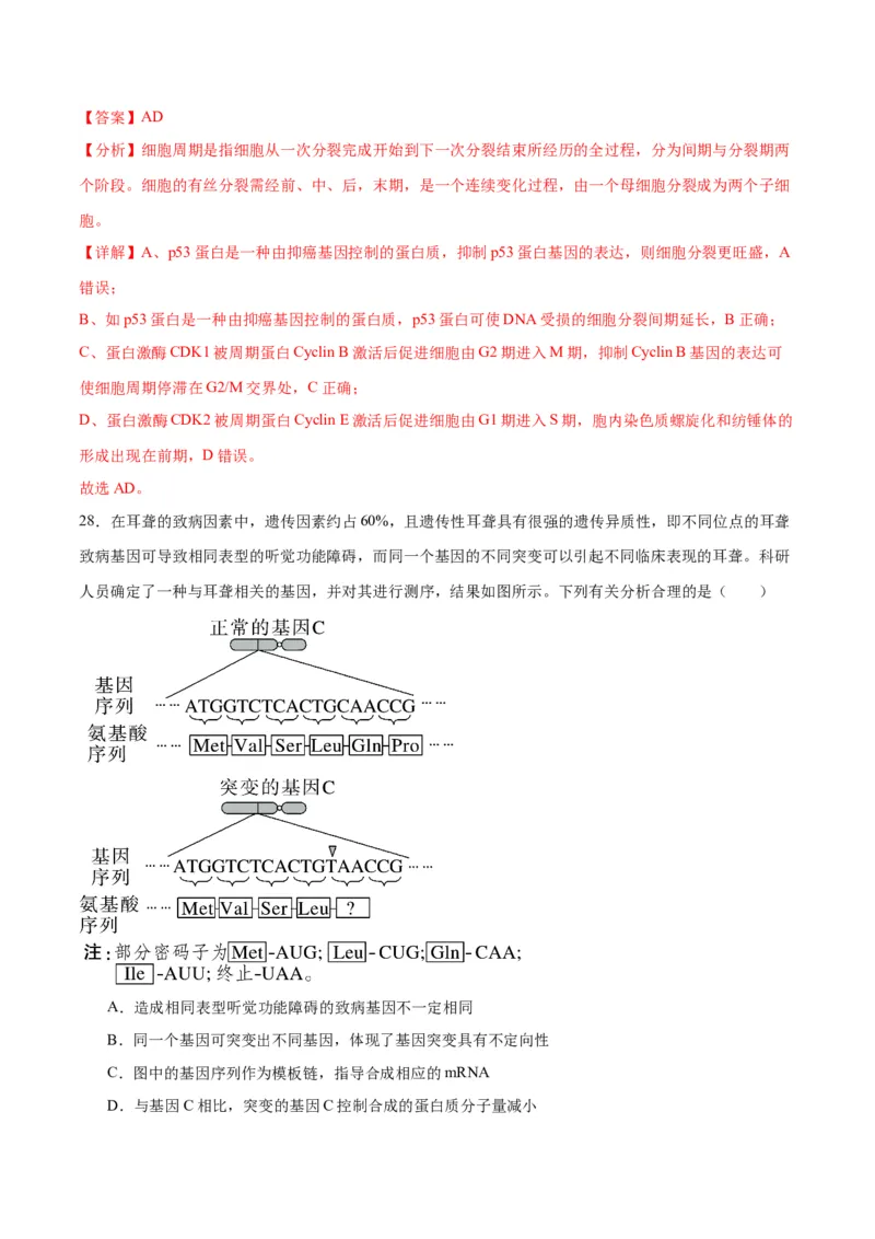 专题22基因的表达、基因与性状的关系（解析版)_2024年新高考资料_3.2024专项复习_备战2024年高考生物一轮复习重难点专项突破