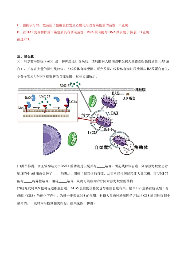 专题22基因的表达、基因与性状的关系（解析版)_2024年新高考资料_3.2024专项复习_备战2024年高考生物一轮复习重难点专项突破
