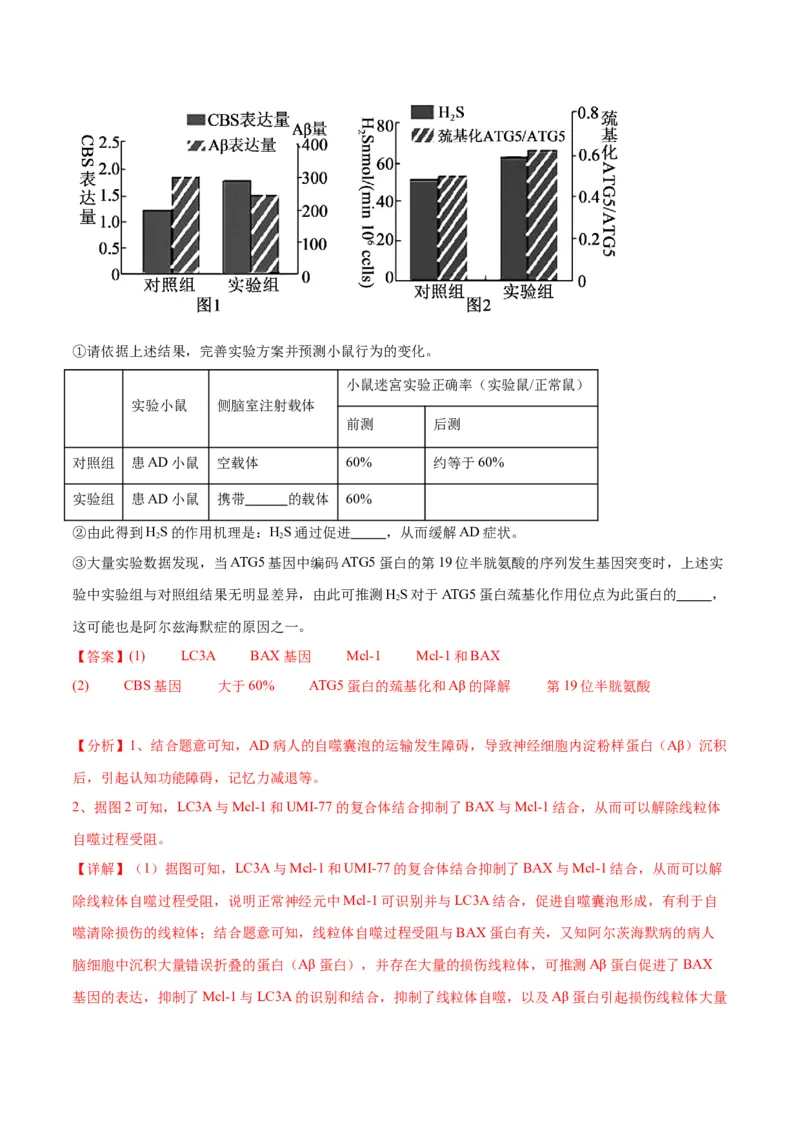 专题22基因的表达、基因与性状的关系（解析版)_2024年新高考资料_3.2024专项复习_备战2024年高考生物一轮复习重难点专项突破