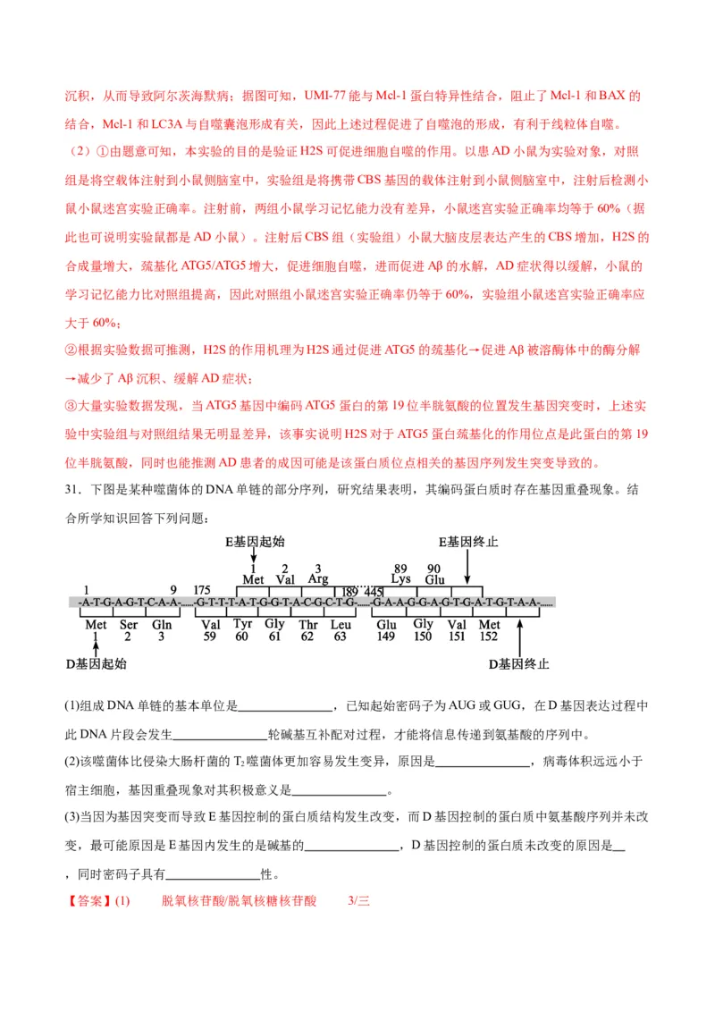 专题22基因的表达、基因与性状的关系（解析版)_2024年新高考资料_3.2024专项复习_备战2024年高考生物一轮复习重难点专项突破