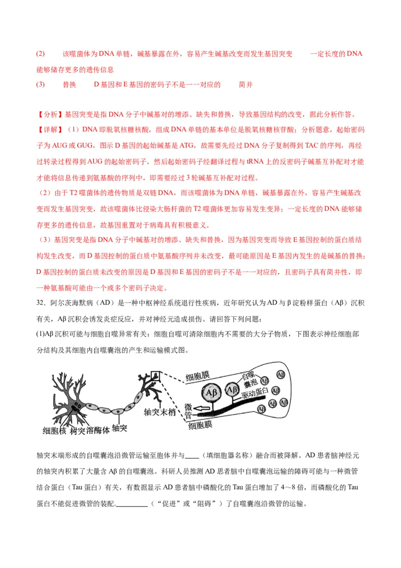 专题22基因的表达、基因与性状的关系（解析版)_2024年新高考资料_3.2024专项复习_备战2024年高考生物一轮复习重难点专项突破