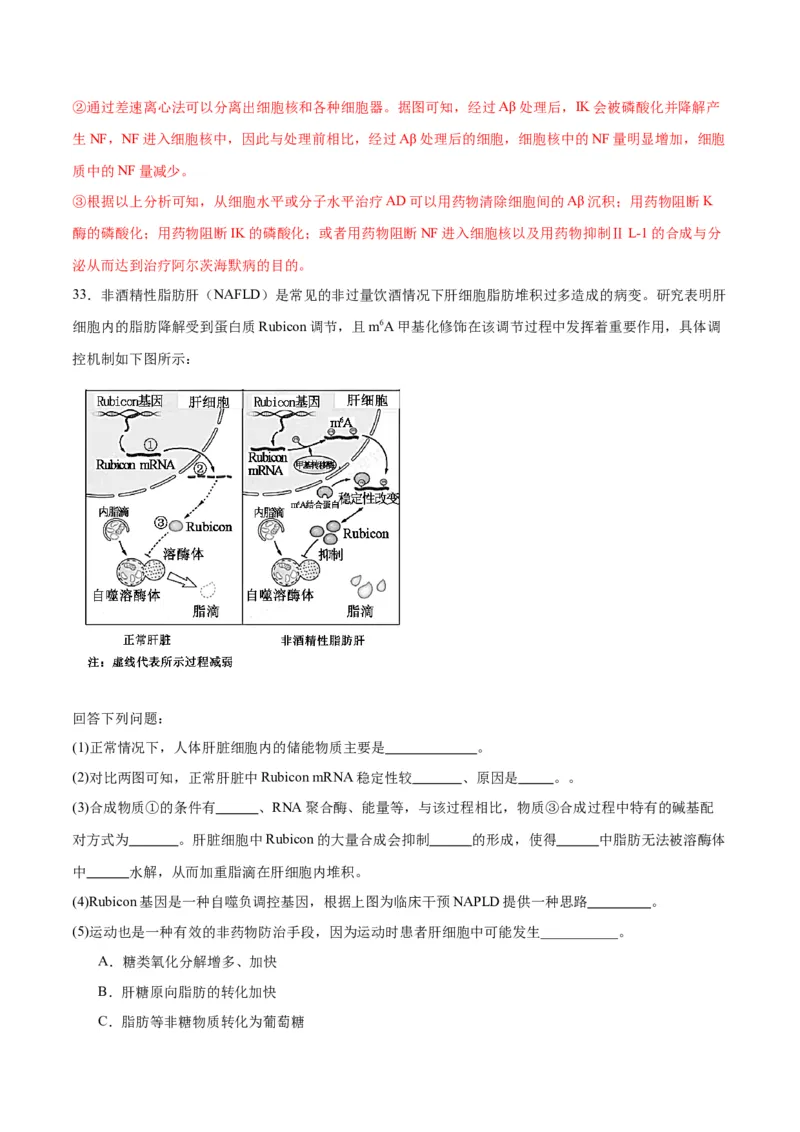 专题22基因的表达、基因与性状的关系（解析版)_2024年新高考资料_3.2024专项复习_备战2024年高考生物一轮复习重难点专项突破