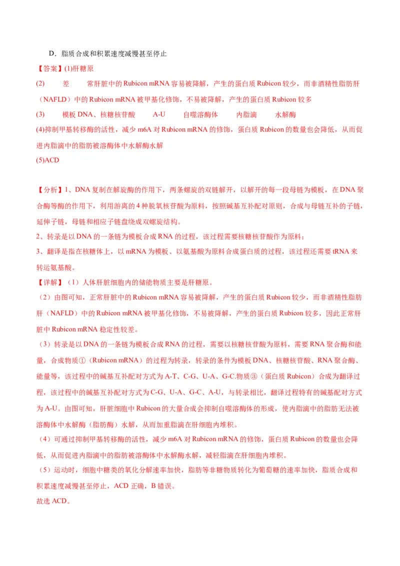 专题22基因的表达、基因与性状的关系（解析版)_2024年新高考资料_3.2024专项复习_备战2024年高考生物一轮复习重难点专项突破