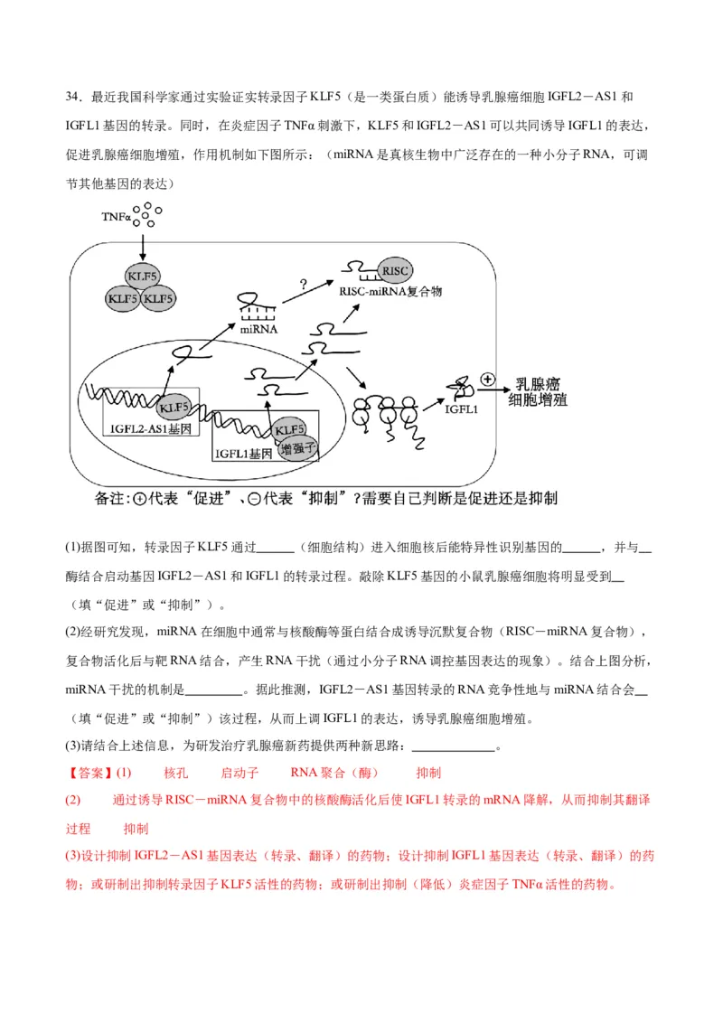 专题22基因的表达、基因与性状的关系（解析版)_2024年新高考资料_3.2024专项复习_备战2024年高考生物一轮复习重难点专项突破