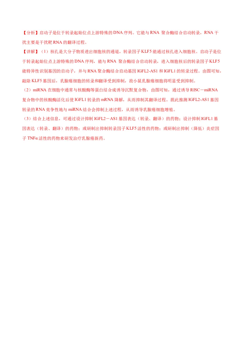 专题22基因的表达、基因与性状的关系（解析版)_2024年新高考资料_3.2024专项复习_备战2024年高考生物一轮复习重难点专项突破