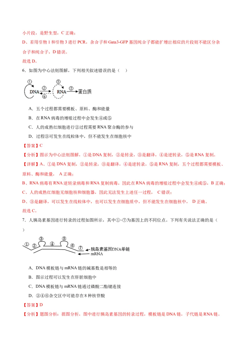 专题22基因的表达、基因与性状的关系（解析版)_2024年新高考资料_3.2024专项复习_备战2024年高考生物一轮复习重难点专项突破