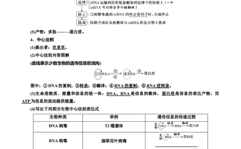 专题22基因的表达、基因与性状的关系（解析版)_2024年新高考资料_3.2024专项复习_备战2024年高考生物一轮复习重难点专项突破