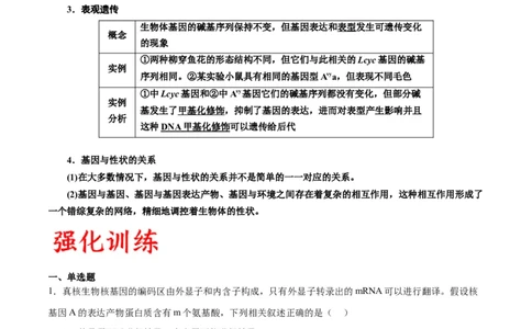 专题22基因的表达、基因与性状的关系（解析版)_2024年新高考资料_3.2024专项复习_备战2024年高考生物一轮复习重难点专项突破