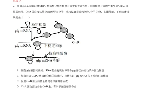 专题22基因的表达、基因与性状的关系（解析版)_2024年新高考资料_3.2024专项复习_备战2024年高考生物一轮复习重难点专项突破