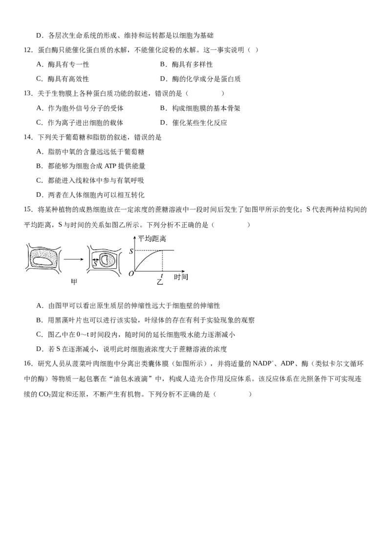 专题一分子与细胞（选择题特训）-2024年高考生物二轮复习专题训练（全国通用）（解析版）_2024年新高考资料_2.2024二轮复习_2024年高考生物二轮复习专题训练（全国通用）