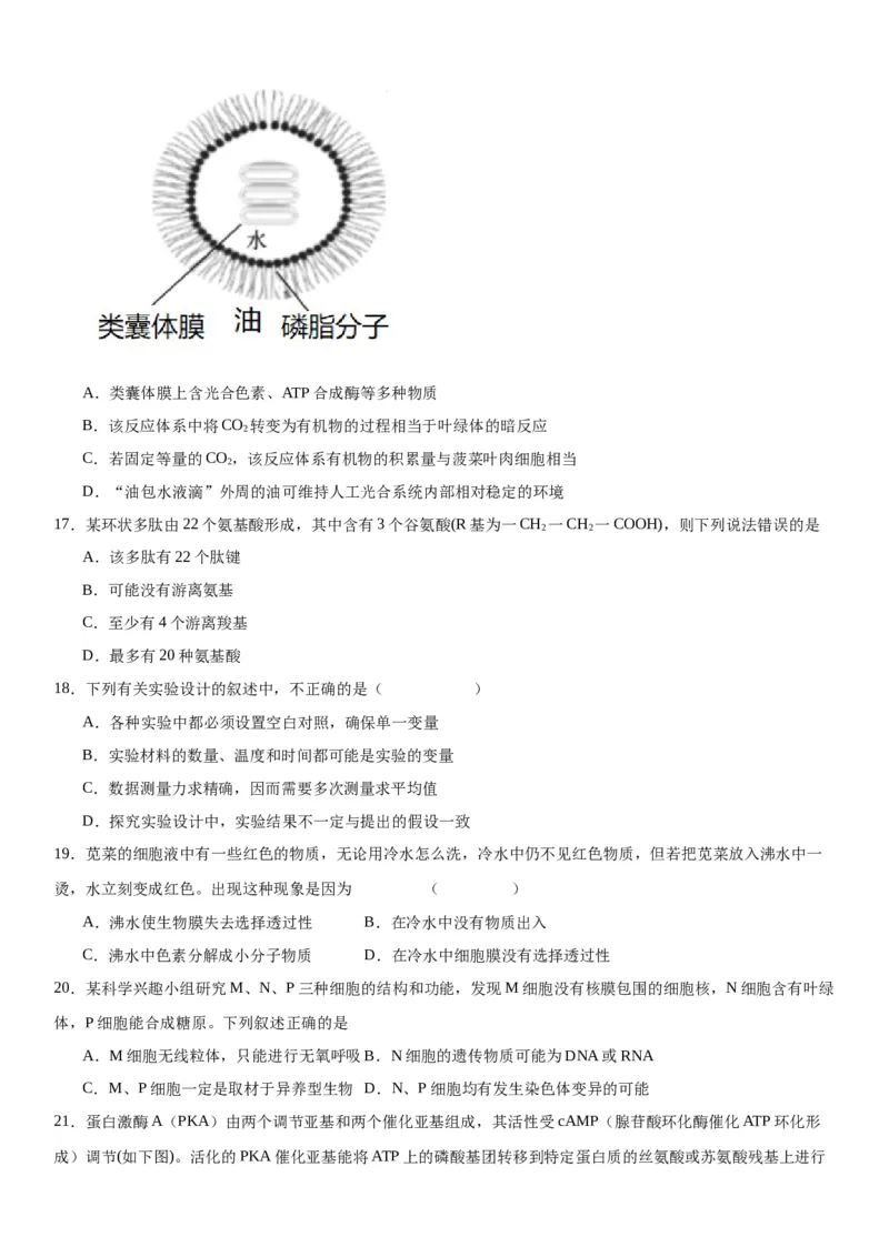专题一分子与细胞（选择题特训）-2024年高考生物二轮复习专题训练（全国通用）（解析版）_2024年新高考资料_2.2024二轮复习_2024年高考生物二轮复习专题训练（全国通用）
