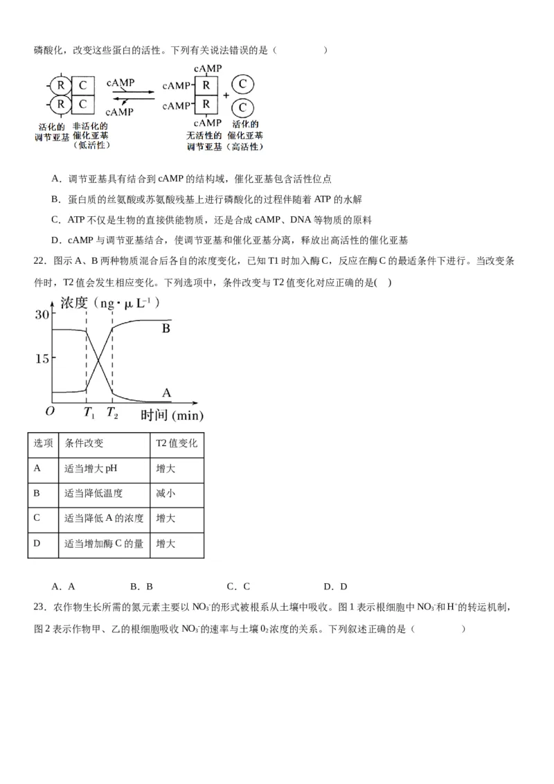 专题一分子与细胞（选择题特训）-2024年高考生物二轮复习专题训练（全国通用）（解析版）_2024年新高考资料_2.2024二轮复习_2024年高考生物二轮复习专题训练（全国通用）