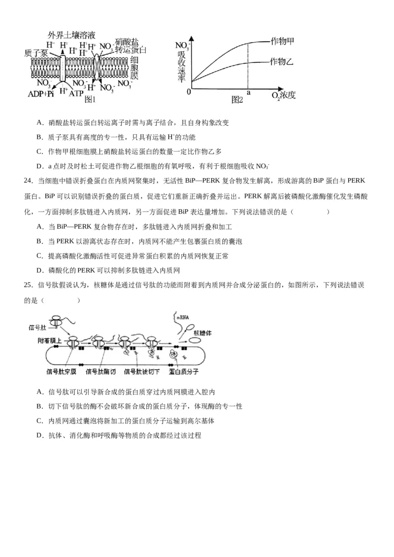 专题一分子与细胞（选择题特训）-2024年高考生物二轮复习专题训练（全国通用）（解析版）_2024年新高考资料_2.2024二轮复习_2024年高考生物二轮复习专题训练（全国通用）