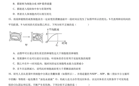 专题一分子与细胞（选择题特训）-2024年高考生物二轮复习专题训练（全国通用）（解析版）_2024年新高考资料_2.2024二轮复习_2024年高考生物二轮复习专题训练（全国通用）