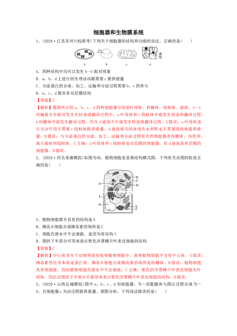 专题05细胞器和生物膜系统（精练）（解析版）_2024年新高考资料_1.2024一轮复习_备战2024年高考生物一轮复习串讲精练（新高考专用）