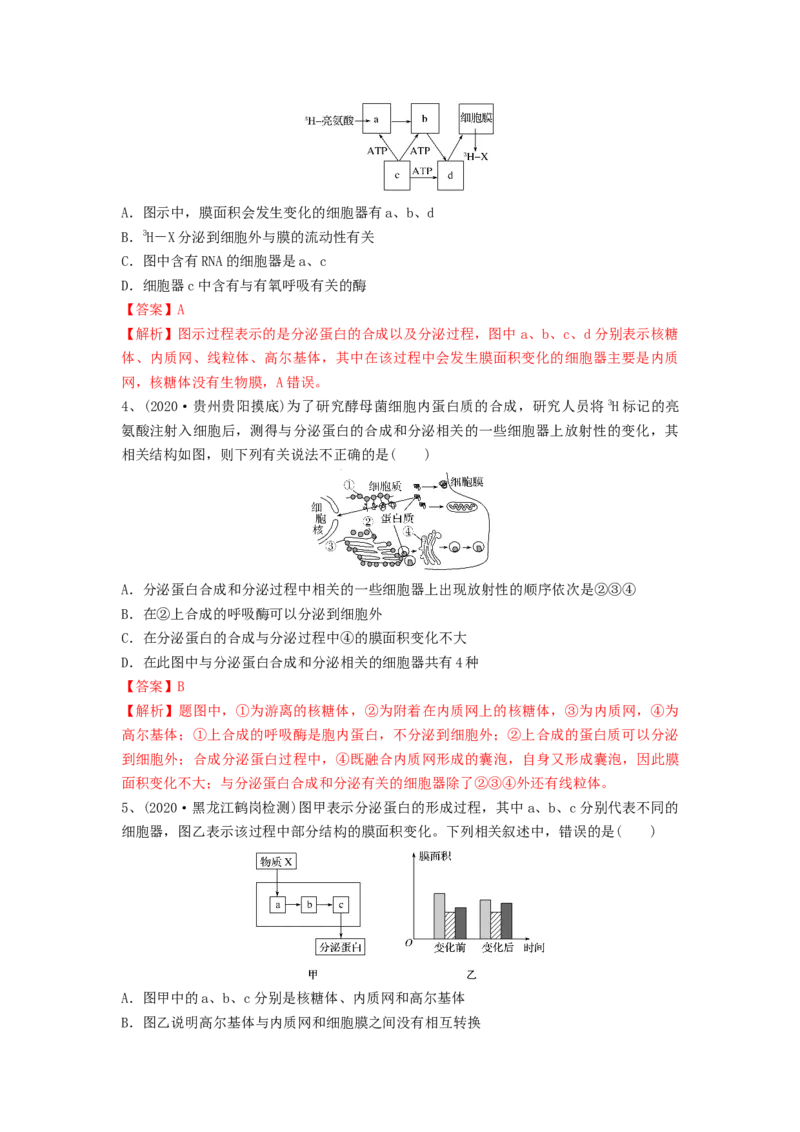 专题05细胞器和生物膜系统（精练）（解析版）_2024年新高考资料_1.2024一轮复习_备战2024年高考生物一轮复习串讲精练（新高考专用）