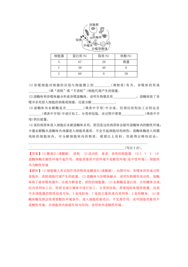 专题05细胞器和生物膜系统（精练）（解析版）_2024年新高考资料_1.2024一轮复习_备战2024年高考生物一轮复习串讲精练（新高考专用）