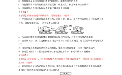 专题05细胞器和生物膜系统（精练）（解析版）_2024年新高考资料_1.2024一轮复习_备战2024年高考生物一轮复习串讲精练（新高考专用）