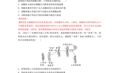 专题05细胞器和生物膜系统（精练）（解析版）_2024年新高考资料_1.2024一轮复习_备战2024年高考生物一轮复习串讲精练（新高考专用）