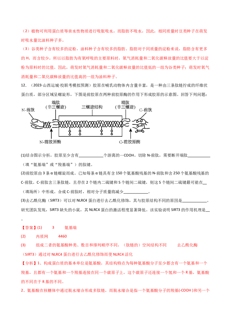 专题01细胞的物质基础（解析版）_2024年新高考资料_3.2024专项复习_2024年高考生物热点&middot;重点&middot;难点专练（新高考专用）
