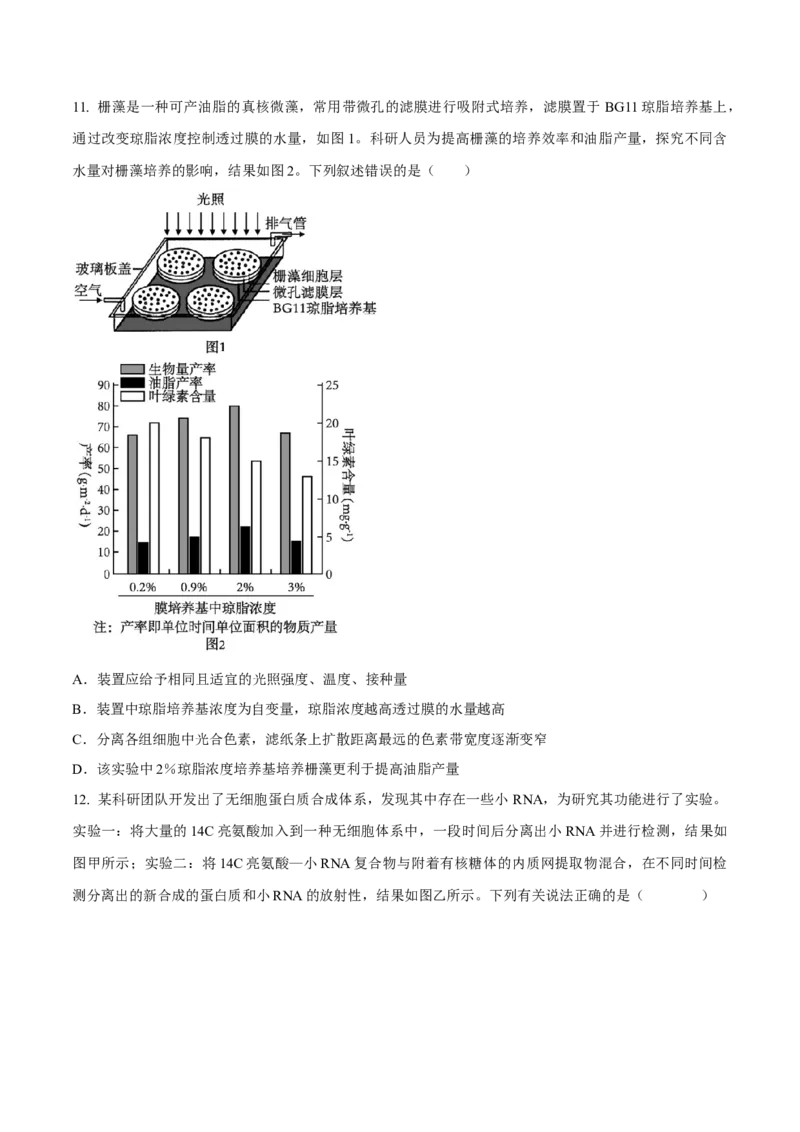 专题01实验分析类（原卷版）_2024年新高考资料_2.2024二轮复习_备战2024年高考生物实验专项突破3143686_专题01实验分析类-备战2024年高考生物实验专项突破