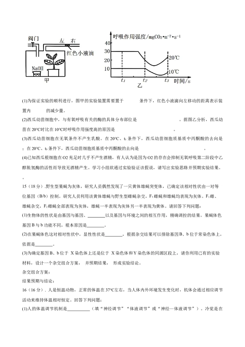专题01实验分析类（原卷版）_2024年新高考资料_2.2024二轮复习_备战2024年高考生物实验专项突破3143686_专题01实验分析类-备战2024年高考生物实验专项突破