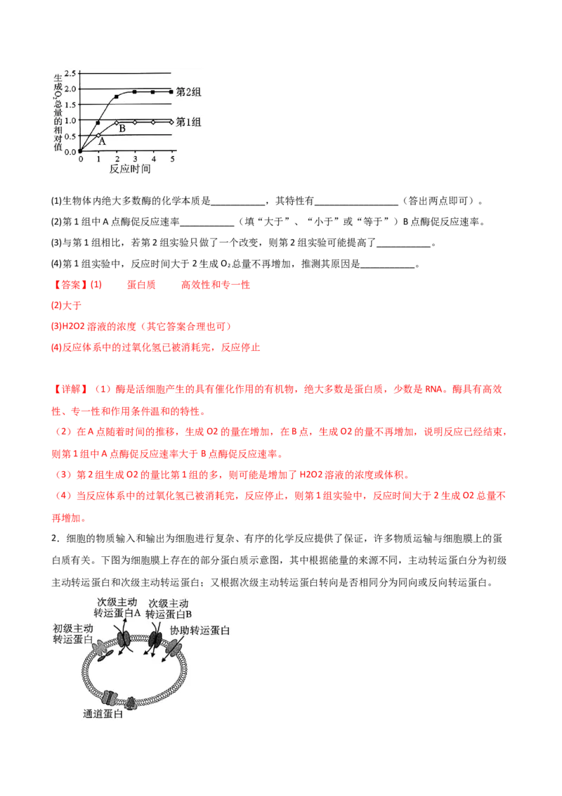 专题03酶与ATP（解析版）_2024年新高考资料_3.2024专项复习_备战2024年高考生物一轮复习重难点突破讲解与训练（新教材）