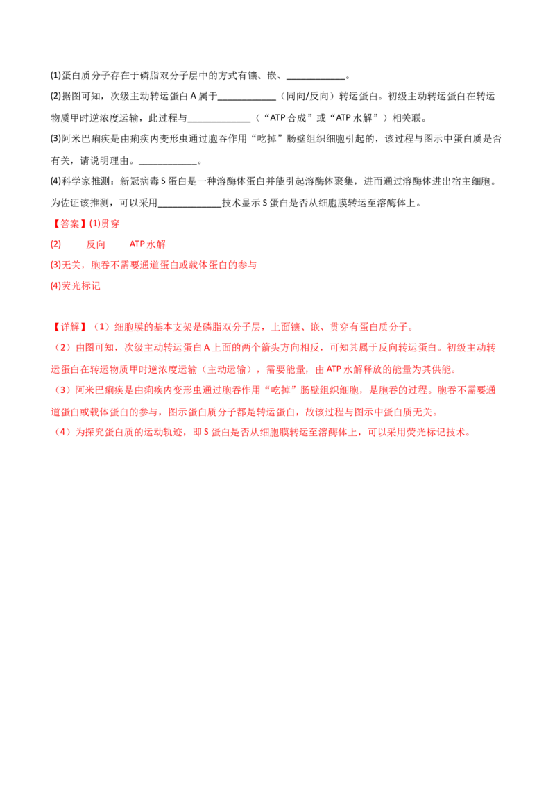 专题03酶与ATP（解析版）_2024年新高考资料_3.2024专项复习_备战2024年高考生物一轮复习重难点突破讲解与训练（新教材）