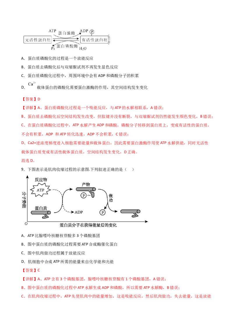 专题03酶与ATP（解析版）_2024年新高考资料_3.2024专项复习_备战2024年高考生物一轮复习重难点突破讲解与训练（新教材）