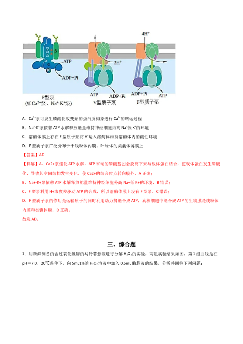 专题03酶与ATP（解析版）_2024年新高考资料_3.2024专项复习_备战2024年高考生物一轮复习重难点突破讲解与训练（新教材）