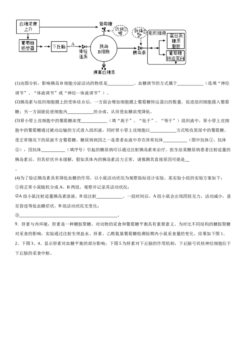 专题三稳态与调节（综合题特训）-2024年高考生物二轮复习专题训练（全国通用）（原卷版）_2024年新高考资料_2.2024二轮复习_2024年高考生物二轮复习专题训练（全国通用）