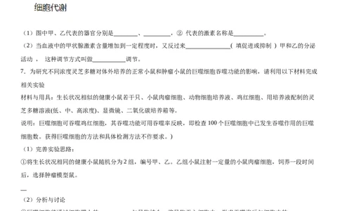 专题三稳态与调节（综合题特训）-2024年高考生物二轮复习专题训练（全国通用）（原卷版）_2024年新高考资料_2.2024二轮复习_2024年高考生物二轮复习专题训练（全国通用）