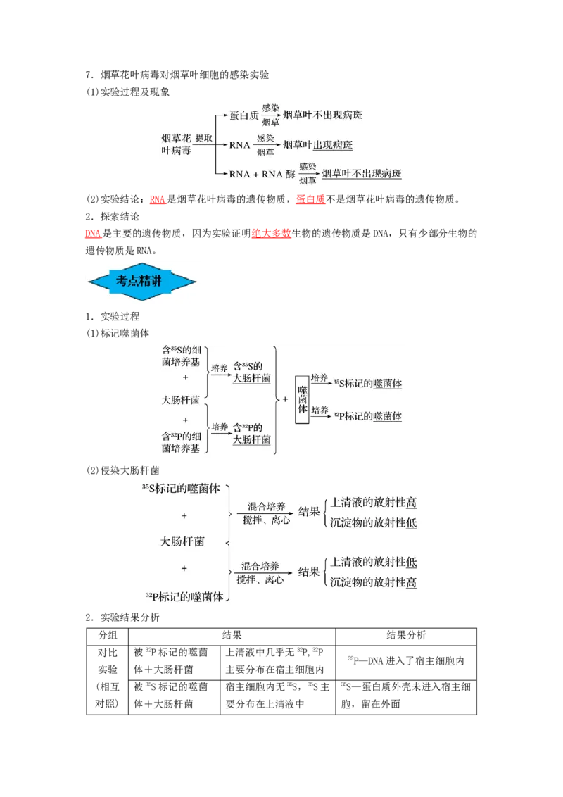 专题17DNA是主要的遗传物质（串讲）（解析版）_2024年新高考资料_1.2024一轮复习_备战2024年高考生物一轮复习串讲精练（新高考专用）