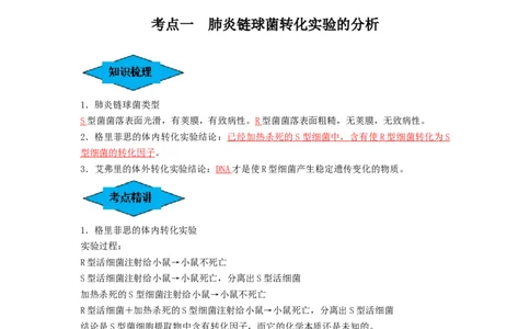 专题17DNA是主要的遗传物质（串讲）（解析版）_2024年新高考资料_1.2024一轮复习_备战2024年高考生物一轮复习串讲精练（新高考专用）