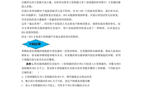 专题17DNA是主要的遗传物质（串讲）（解析版）_2024年新高考资料_1.2024一轮复习_备战2024年高考生物一轮复习串讲精练（新高考专用）