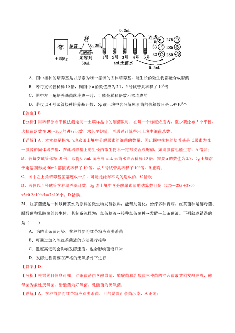 押新高考卷发酵工程（解析版）-备战2024年高考生物临考题号押题（新高考通用）(1)_2024年新高考资料_5.2024三轮冲刺_备战2024年高考生物临考题号押题（新高考通用）322745222
